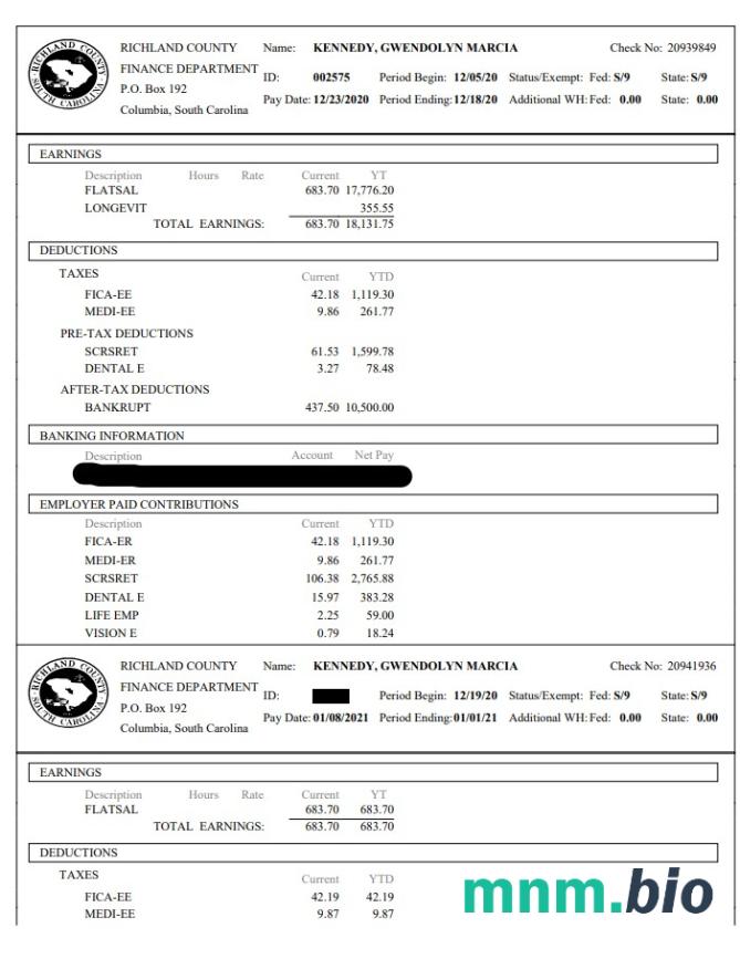 Departament Finansów hrabstwa Richland paystub